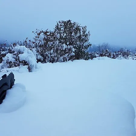 Sonnenstrahl アパート *