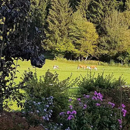 Sonnenstrahl גמונד