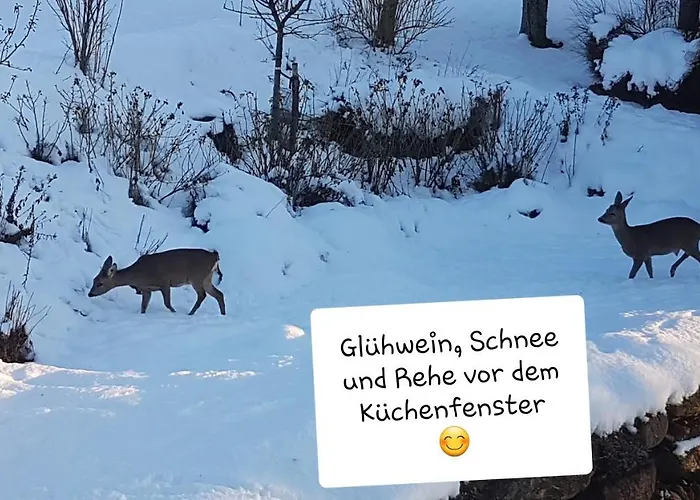 Apartment Sonnenstrahl *