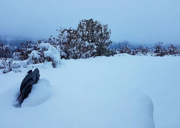 Sonnenstrahl דירה *