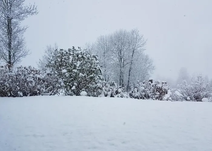 Sonnenstrahl * גמונד