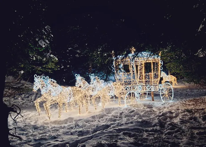 Sonnenstrahl דירה גמונד