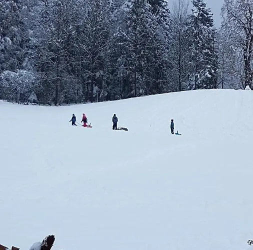 Sonnenstrahl גמונד