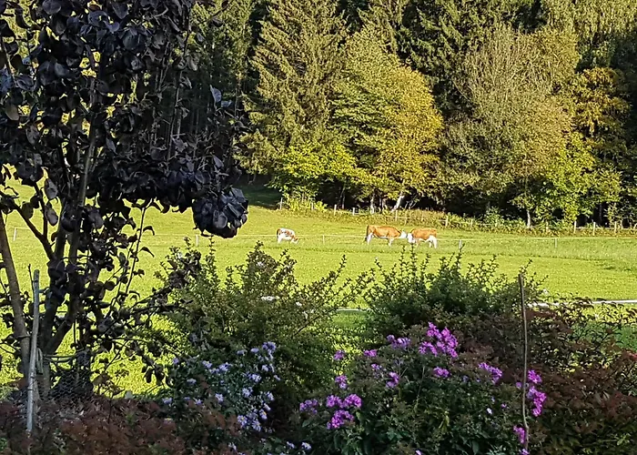 Sonnenstrahl גמונד